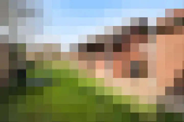 Plantsoenstraat 1 Linne thumbnail 17
