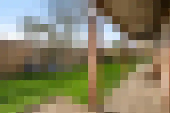 Plantsoenstraat 1 Linne thumbnail 19