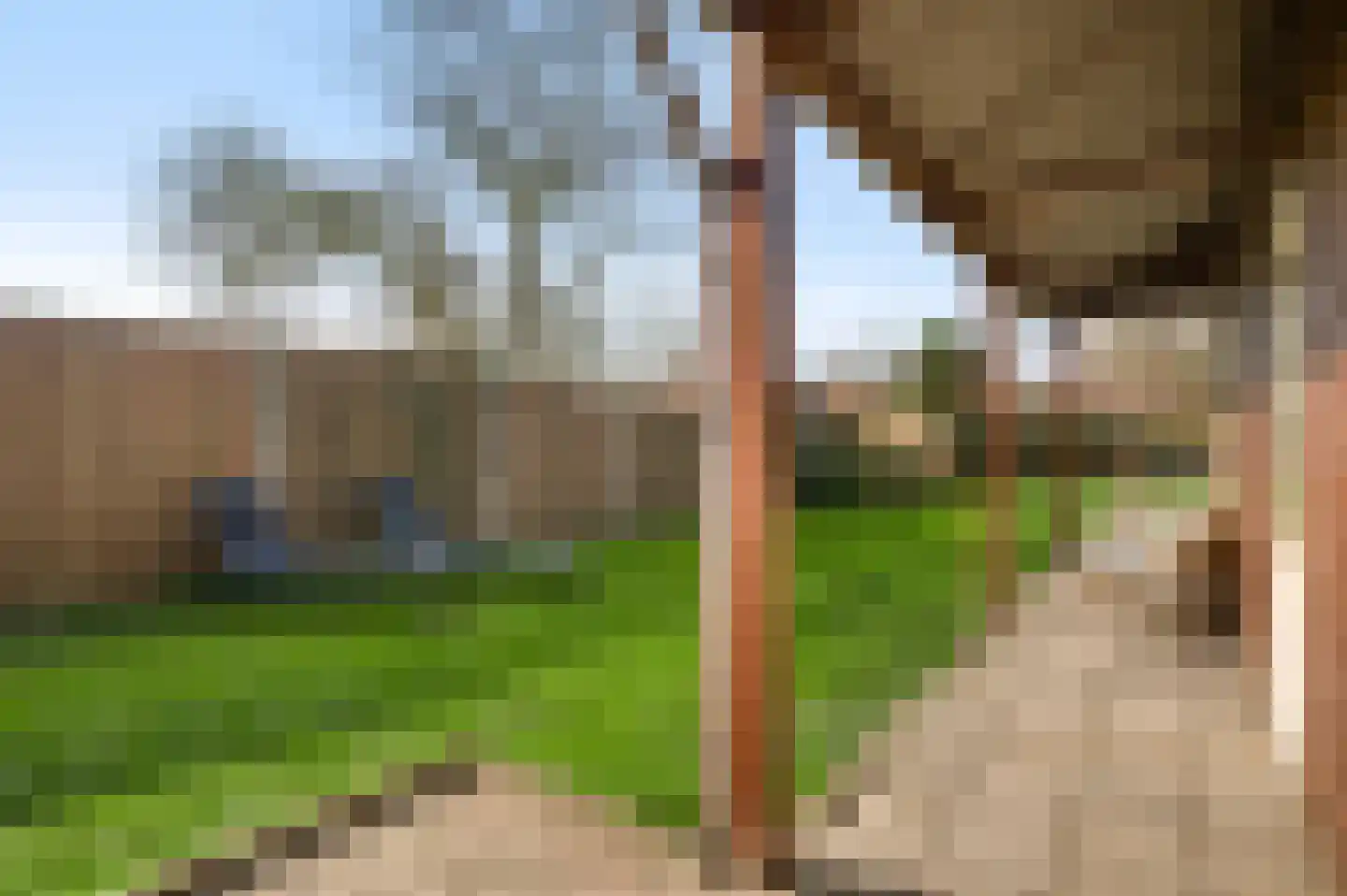 Plantsoenstraat 1 Linne thumbnail 19