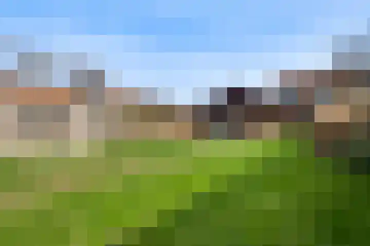 Plantsoenstraat 1 Linne thumbnail 20