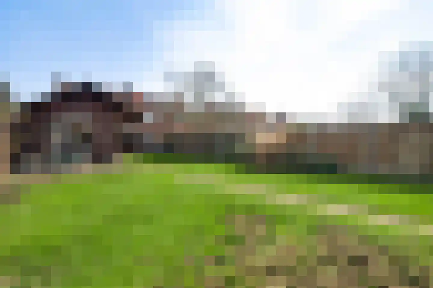 Plantsoenstraat 1 Linne thumbnail 21