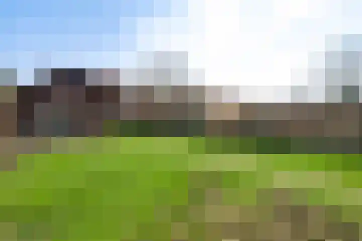 Plantsoenstraat 1 Linne thumbnail 21