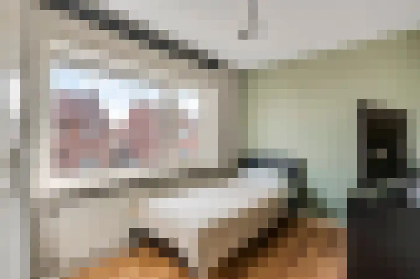 Plantsoenstraat 1 Linne thumbnail 23