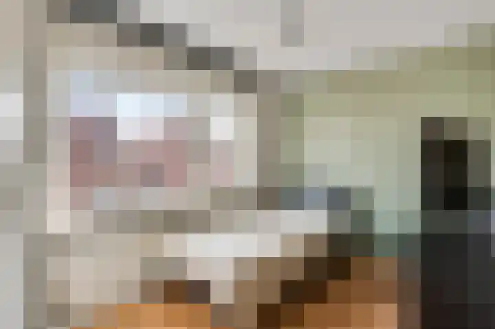 Plantsoenstraat 1 Linne thumbnail 23