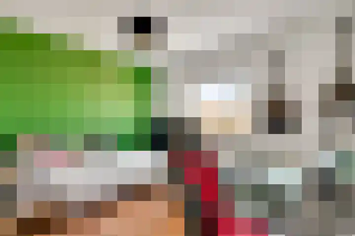 Plantsoenstraat 1 Linne thumbnail 24