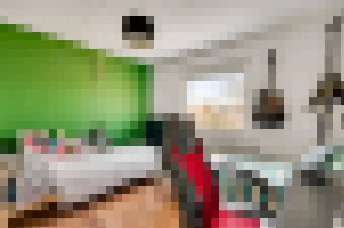 Plantsoenstraat 1 Linne thumbnail 24