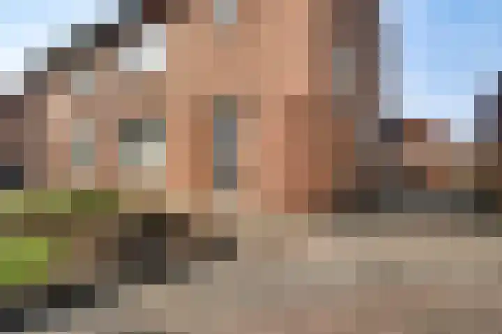 Plantsoenstraat 1 Linne thumbnail 4