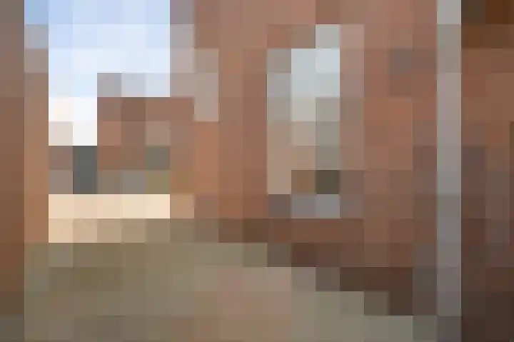 Plantsoenstraat 1 Linne thumbnail 5