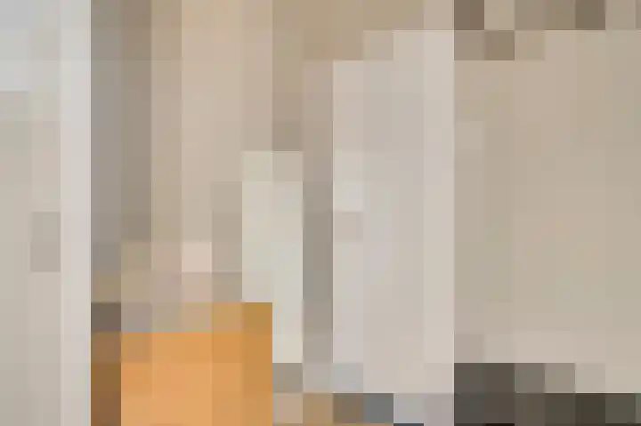 Plantsoenstraat 1 Linne thumbnail 6