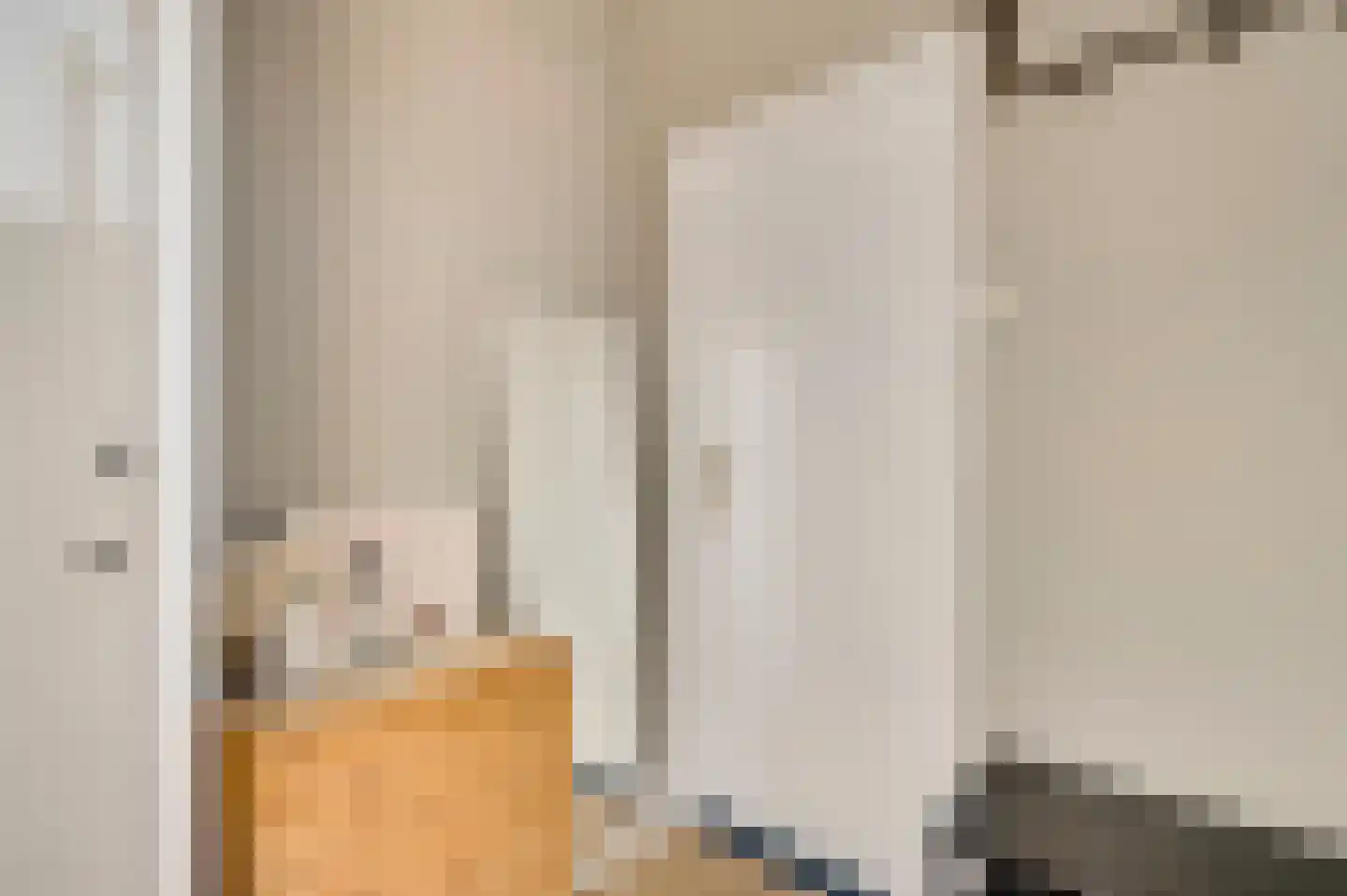 Plantsoenstraat 1 Linne thumbnail 6