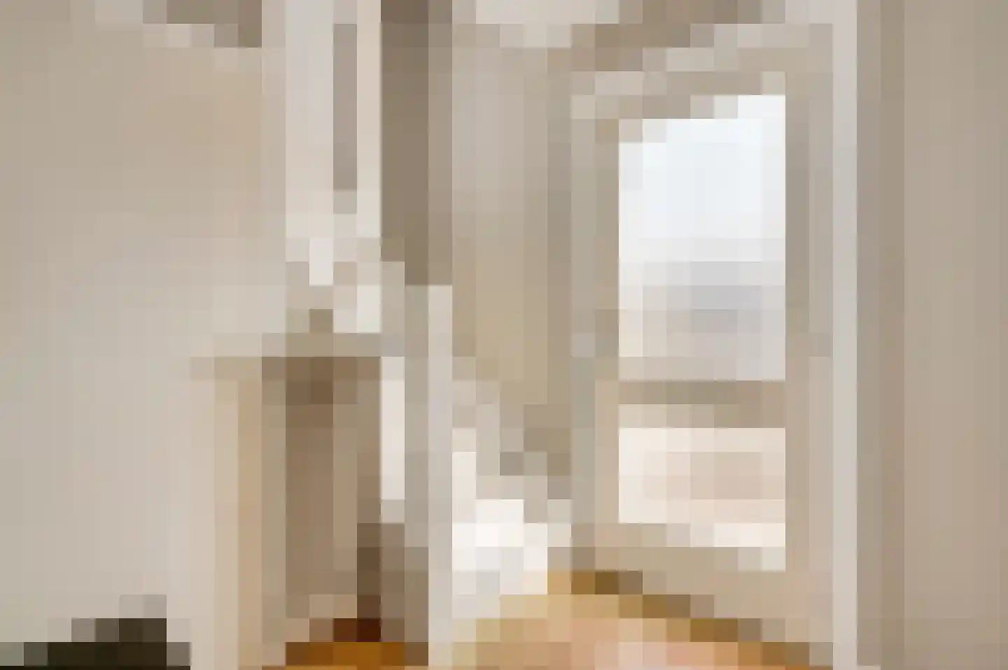 Plantsoenstraat 1 Linne thumbnail 7