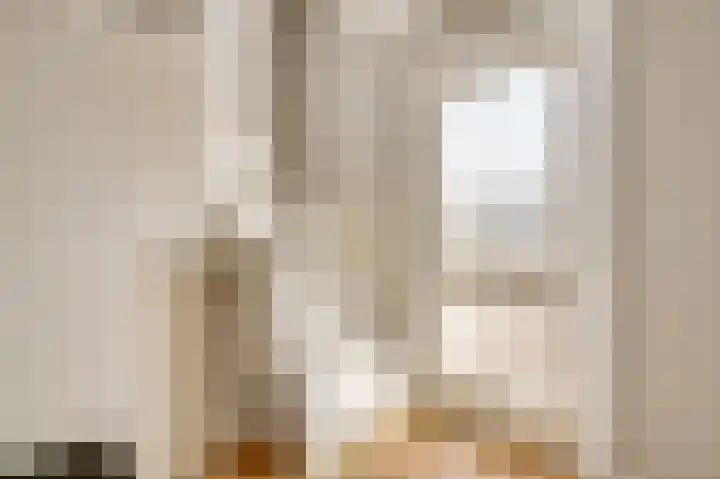Plantsoenstraat 1 Linne thumbnail 7