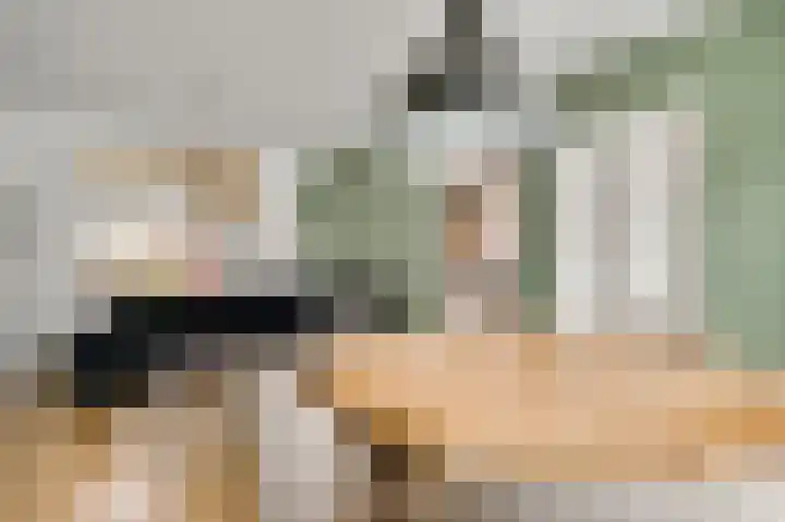 Plantsoenstraat 1 Linne thumbnail 8