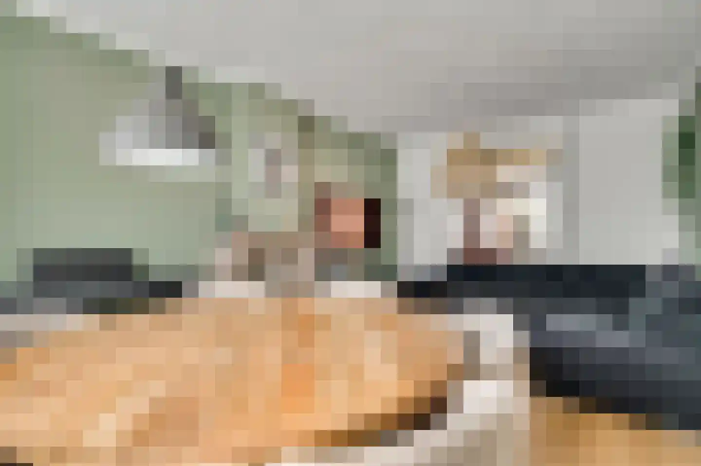 Plantsoenstraat 1 Linne thumbnail 9