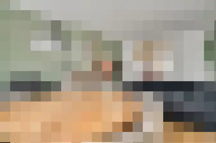 Plantsoenstraat 1 Linne thumbnail 9
