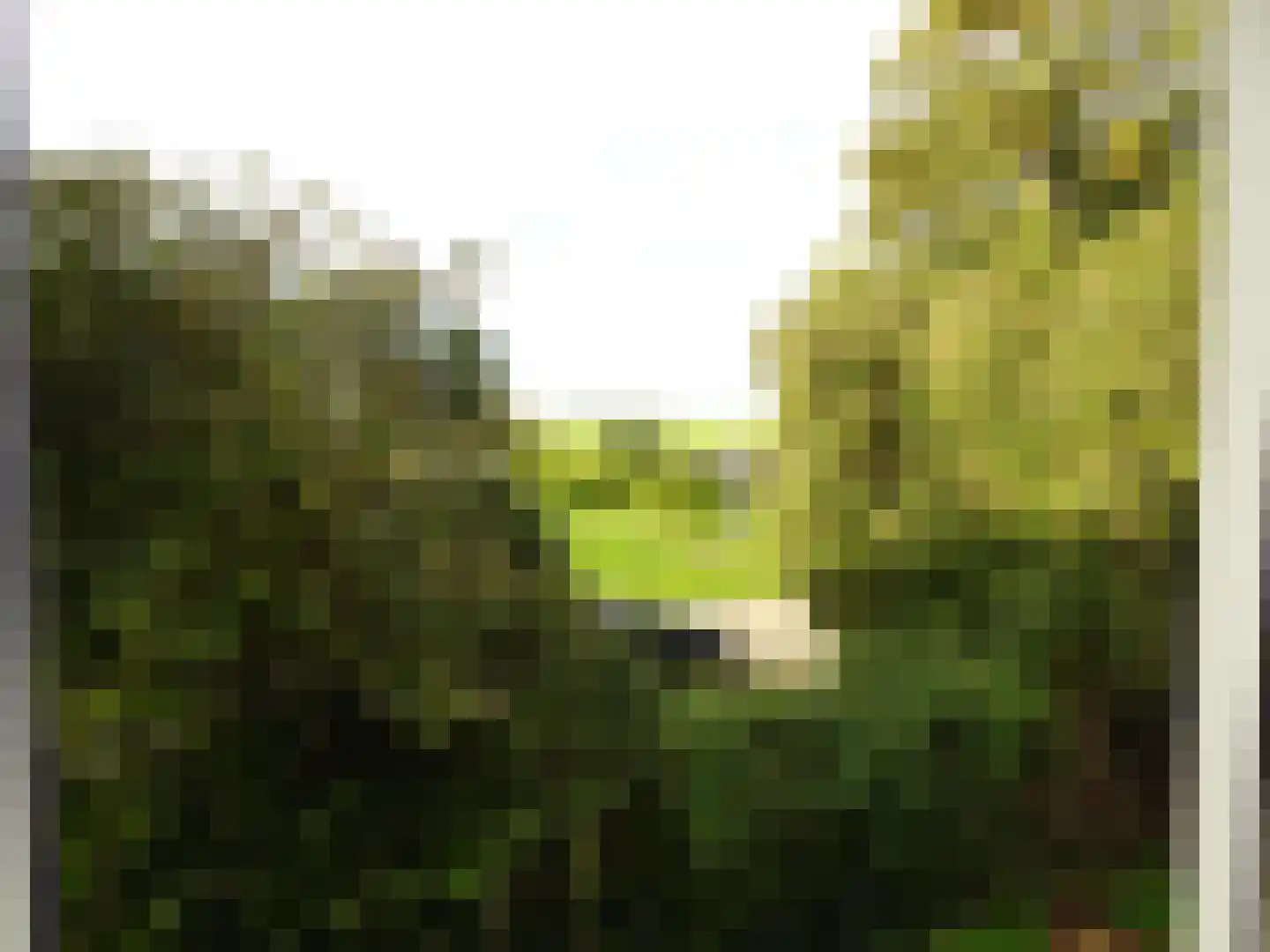 Plantsoenstraat 1 Lutjewinkel thumbnail 22