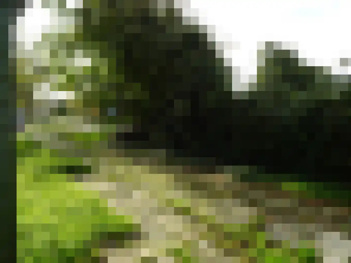 Plantsoenstraat 1 Lutjewinkel thumbnail 28
