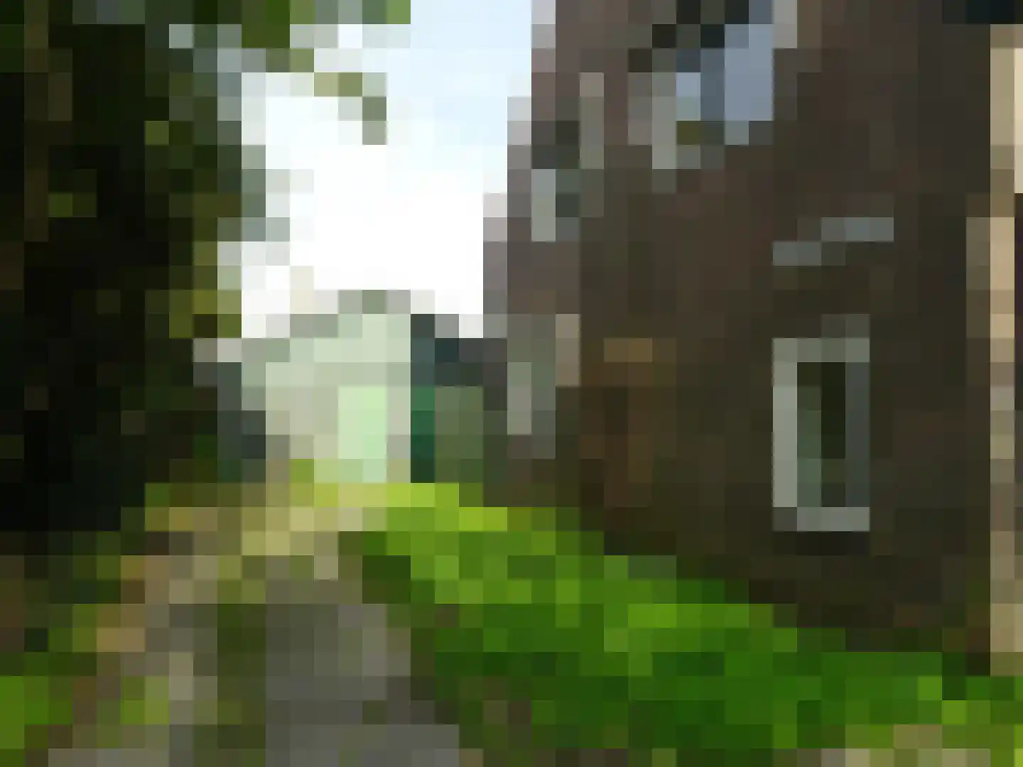 Plantsoenstraat 1 Lutjewinkel thumbnail 29