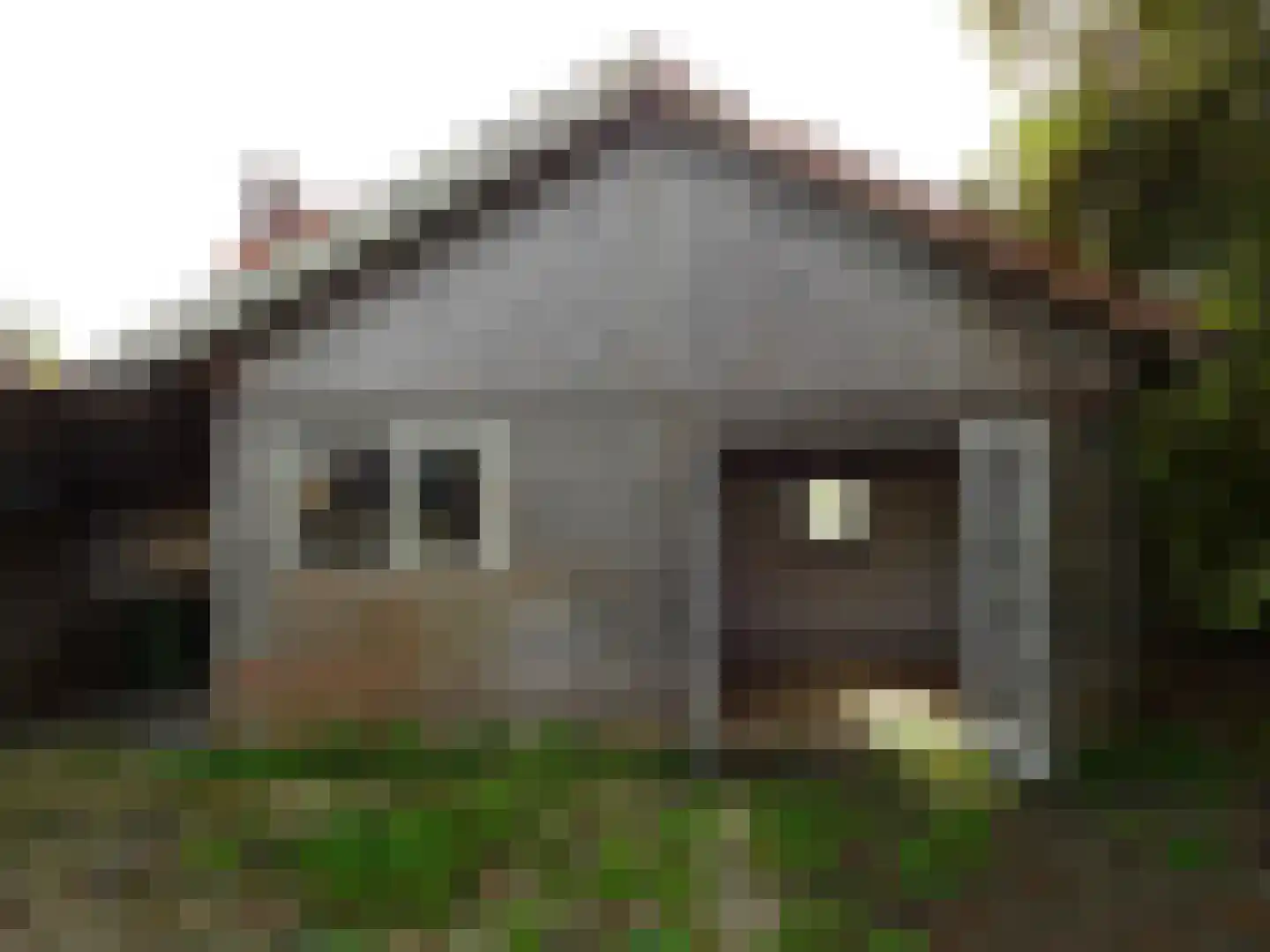 Plantsoenstraat 1 Lutjewinkel thumbnail 33