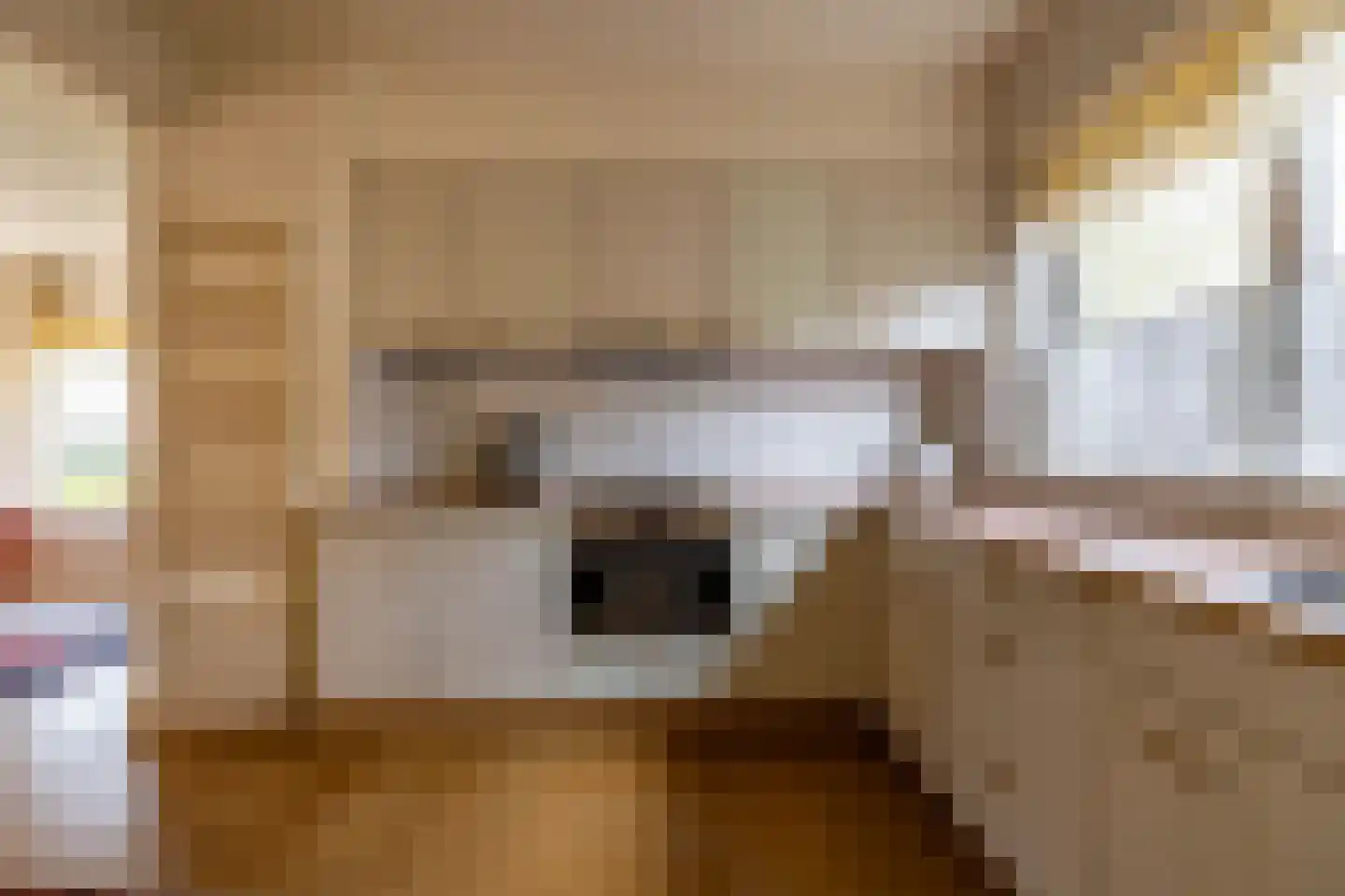 Plantsoenstraat 1 Sappemeer thumbnail 14
