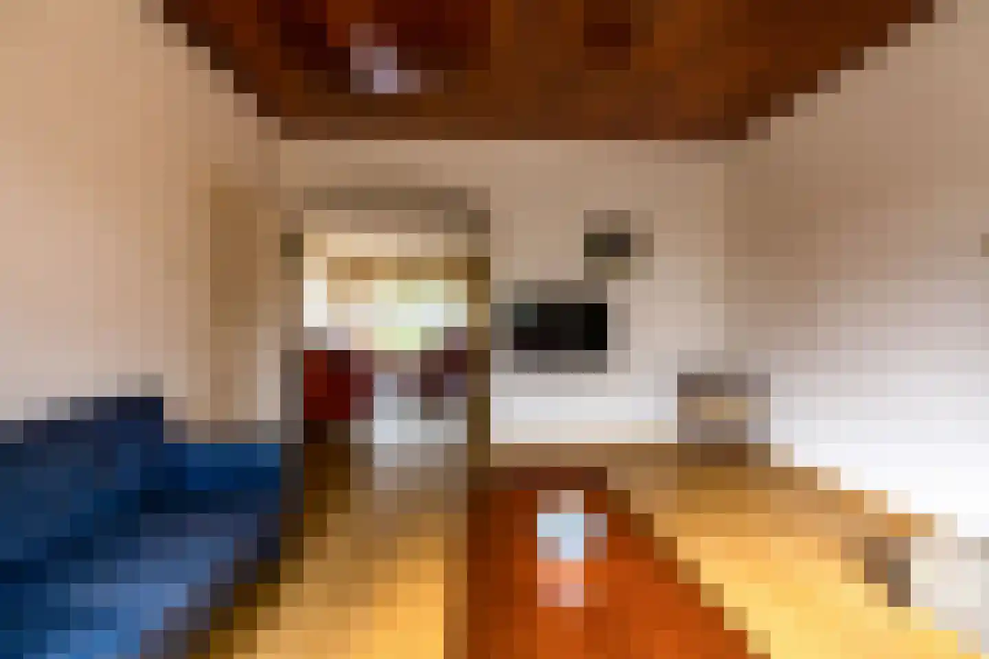 Plantsoenstraat 1 Sappemeer thumbnail 17
