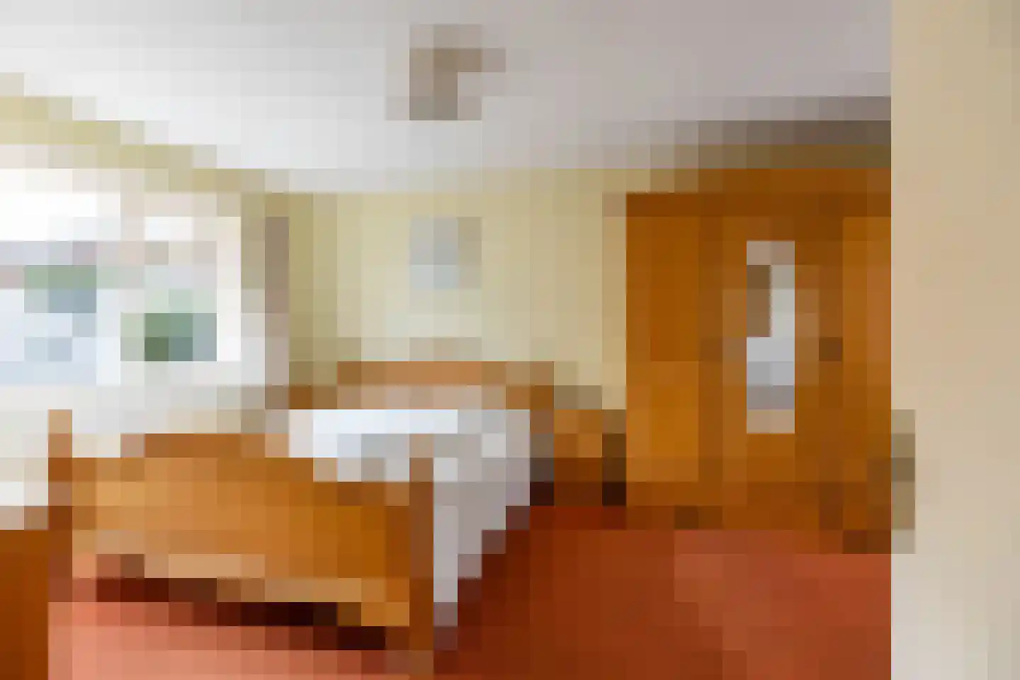 Plantsoenstraat 1 Sappemeer thumbnail 18