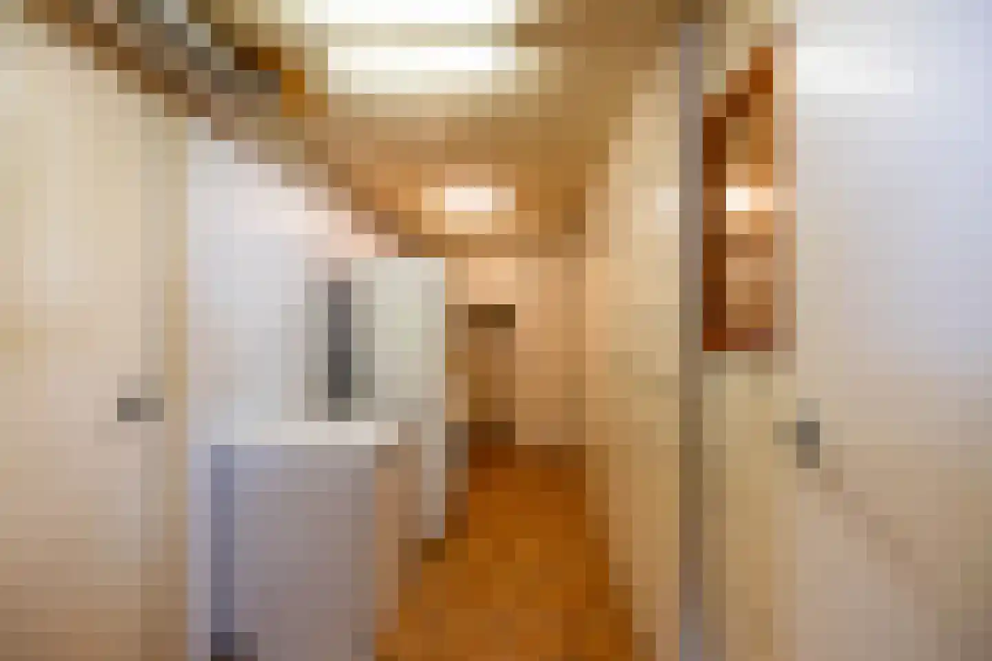 Plantsoenstraat 1 Sappemeer thumbnail 30