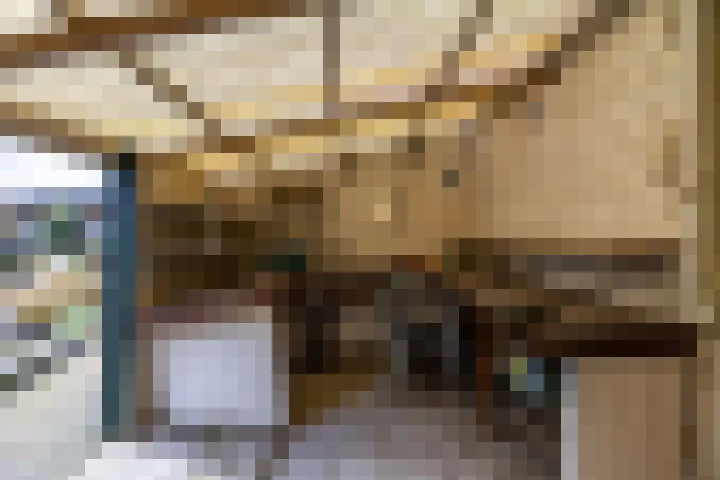 Plantsoenstraat 1 Sappemeer thumbnail 35