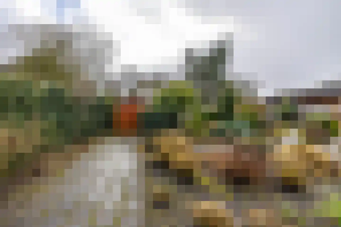 Plantsoenstraat 1 Sappemeer thumbnail 36