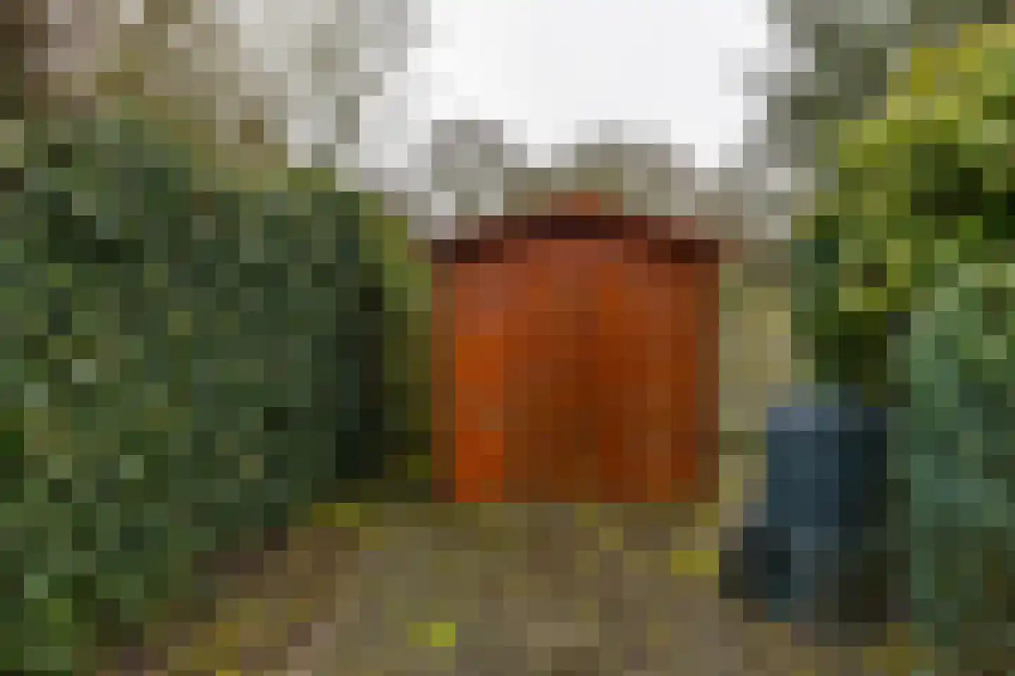 Plantsoenstraat 1 Sappemeer thumbnail 37