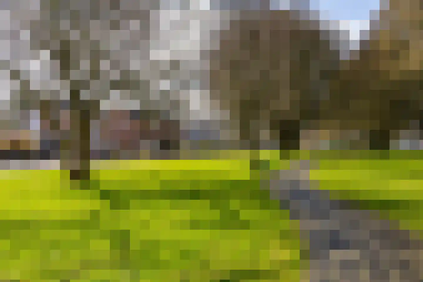 Plantsoenstraat 1 Sappemeer thumbnail 44