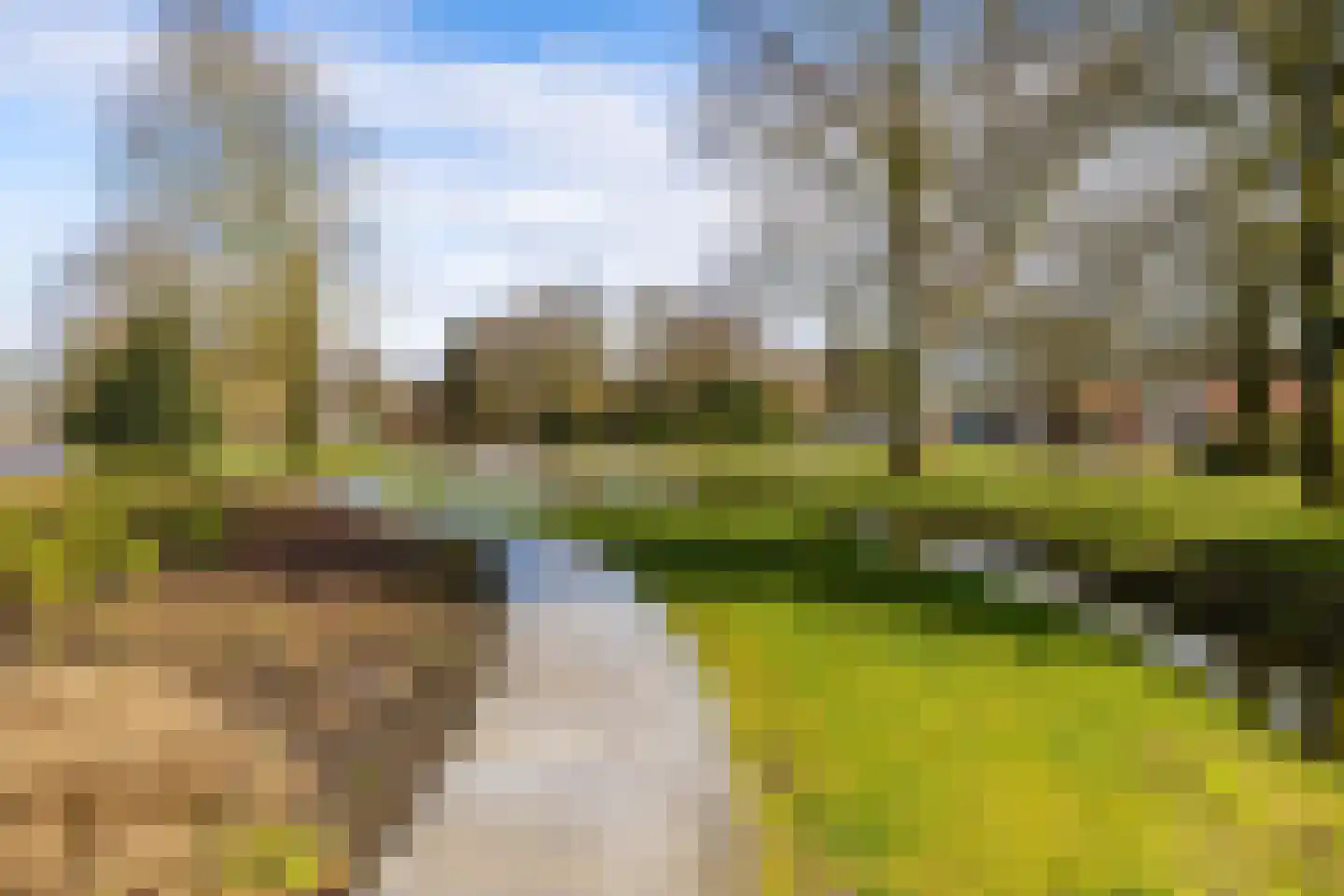 Plantsoenstraat 1 Sappemeer thumbnail 45