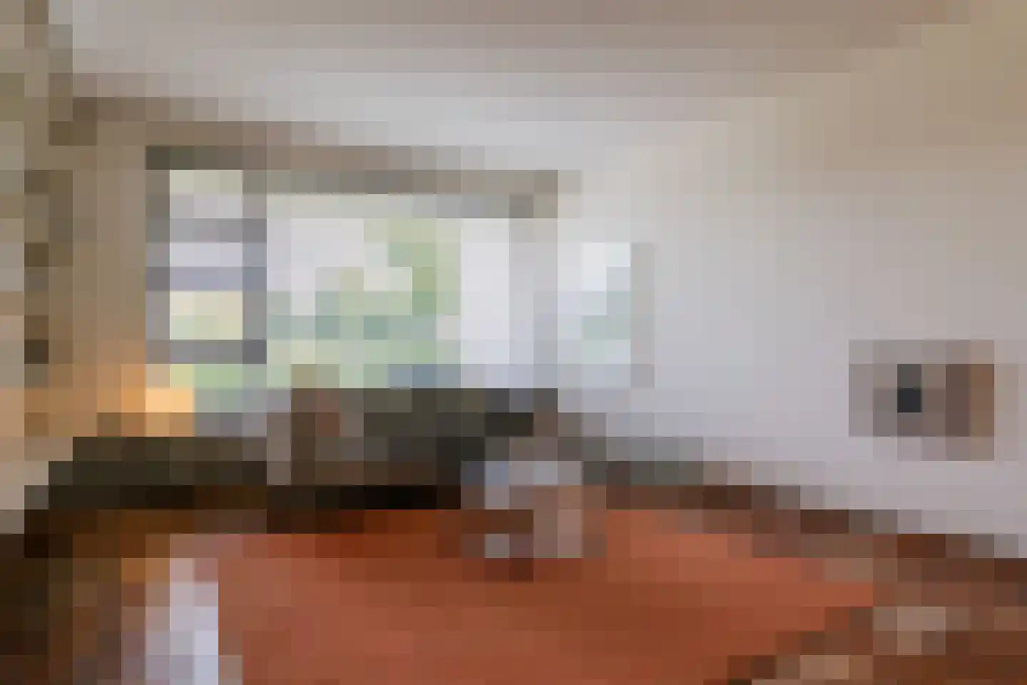 Plantsoenstraat 15 Sappemeer thumbnail 10