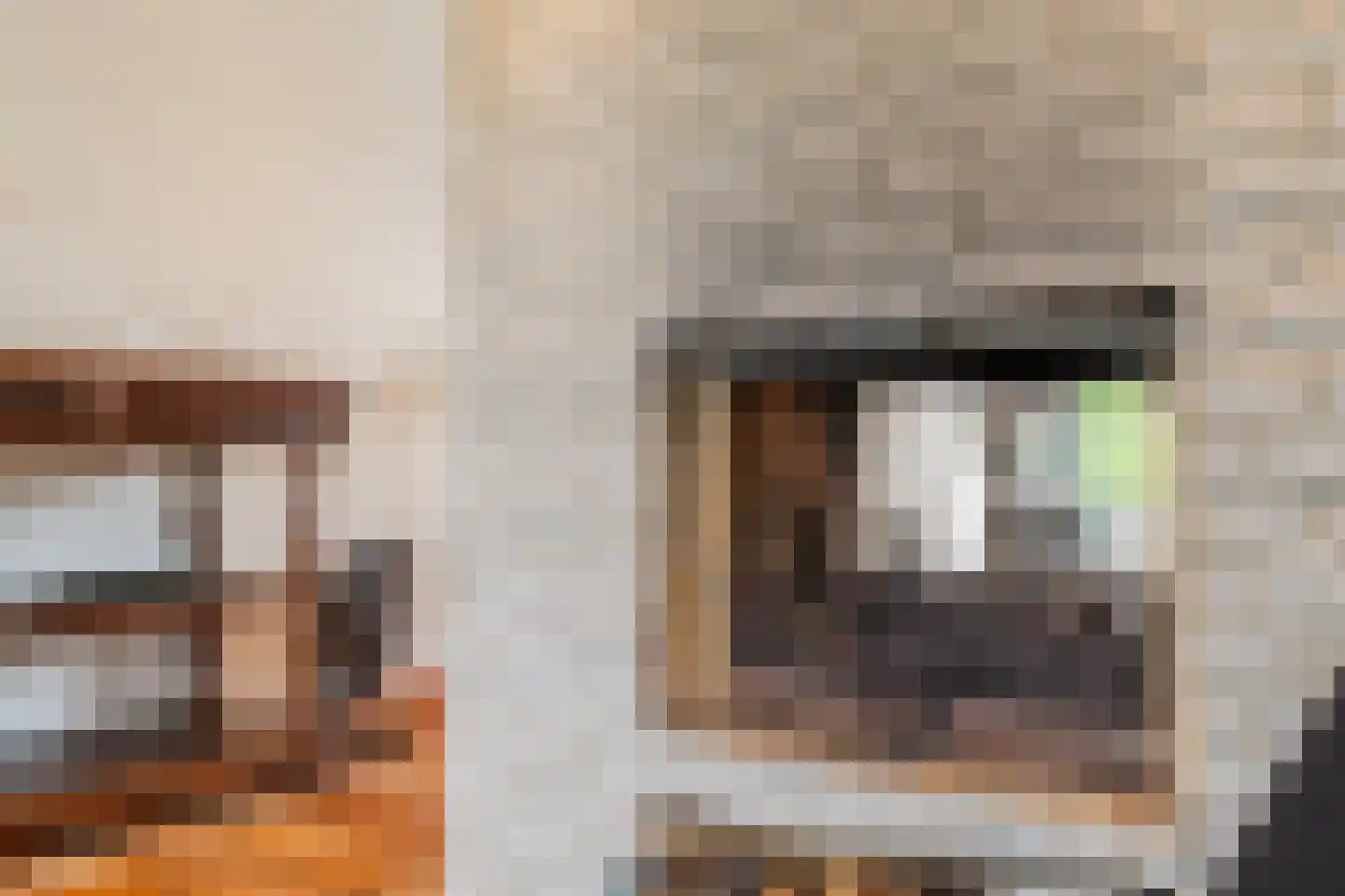 Plantsoenstraat 15 Sappemeer thumbnail 13
