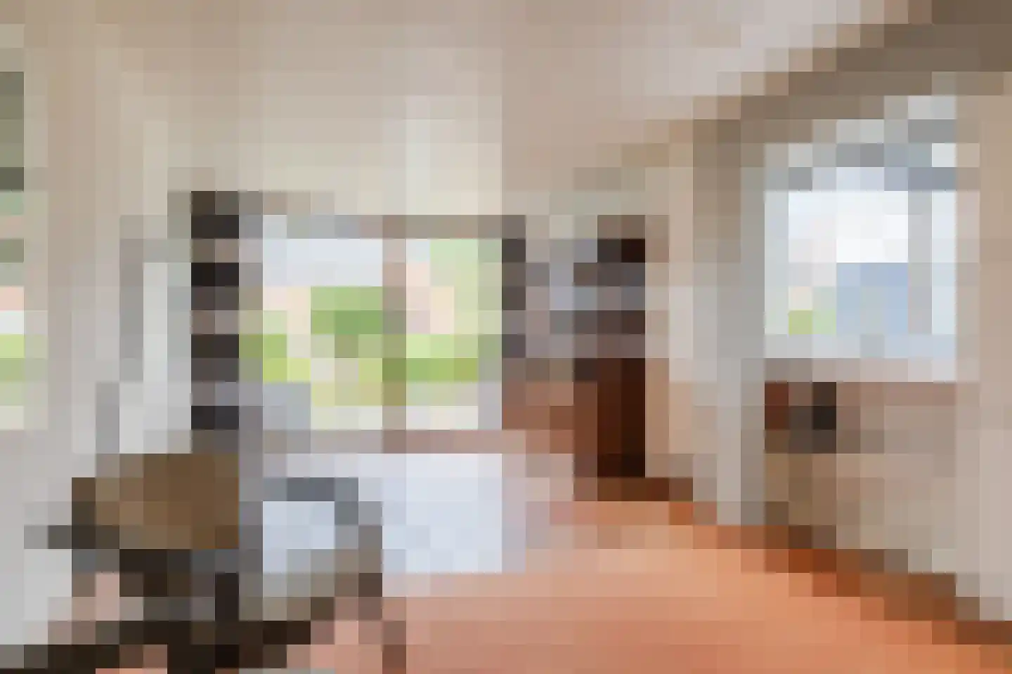 Plantsoenstraat 15 Sappemeer thumbnail 14
