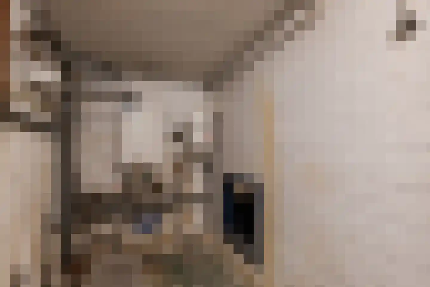 Plantsoenstraat 15 Sappemeer thumbnail 23