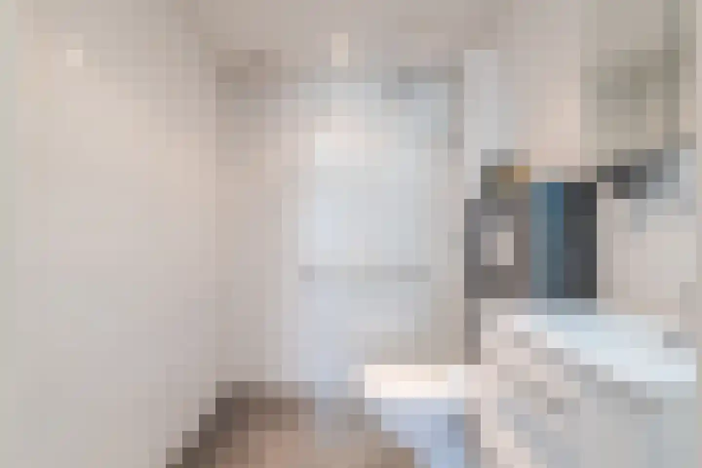 Plantsoenstraat 15 Sappemeer thumbnail 39