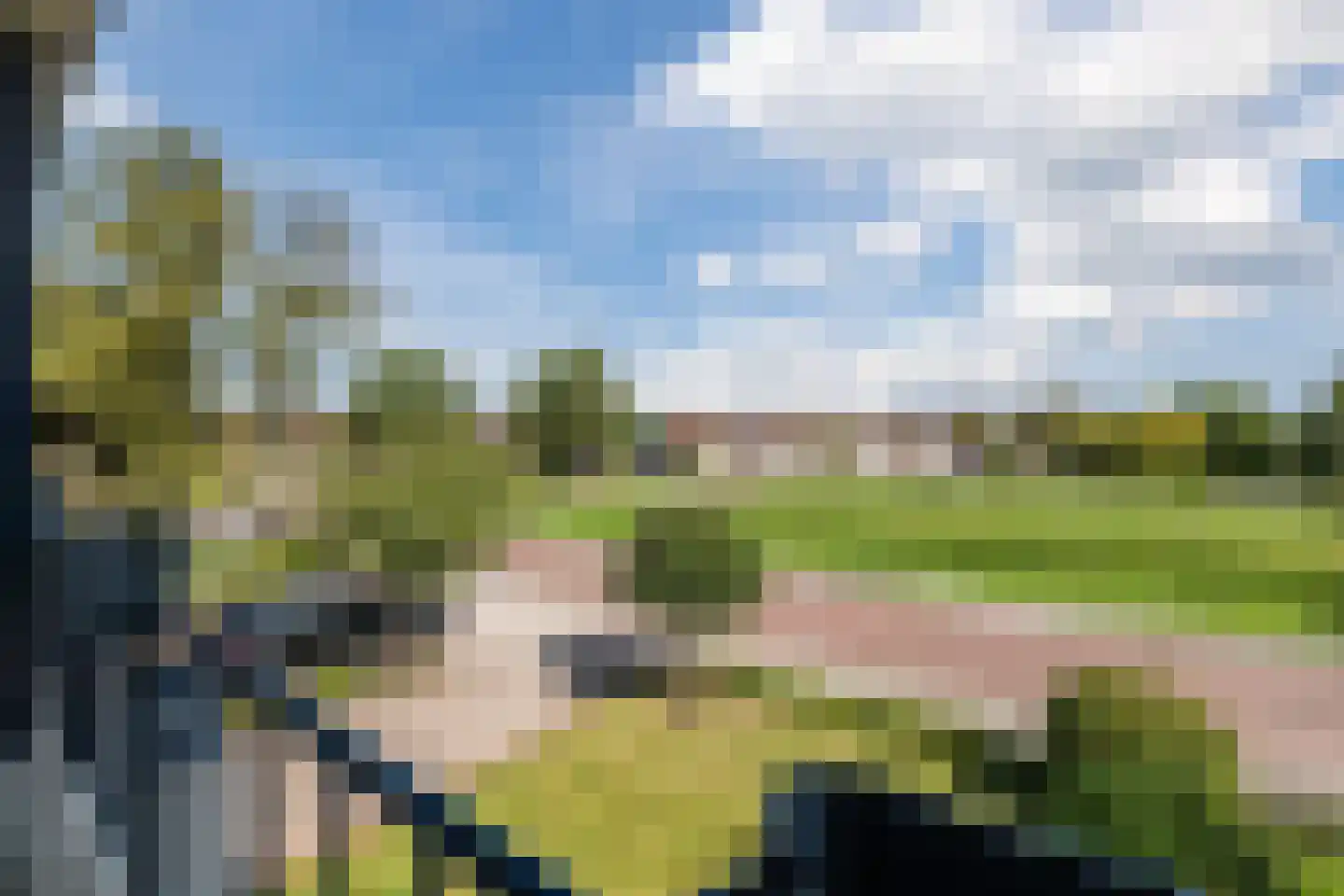 Plantsoenstraat 15 Sappemeer thumbnail 44
