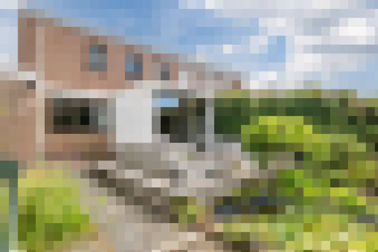 Plantsoenstraat 15 Sappemeer thumbnail 49