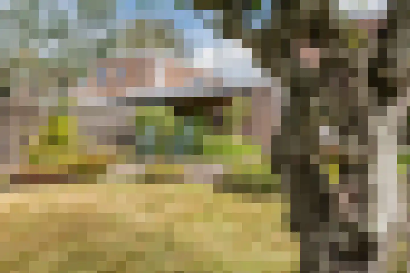 Plantsoenstraat 15 Sappemeer thumbnail 52