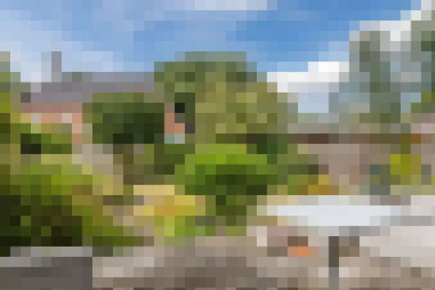 Plantsoenstraat 15 Sappemeer thumbnail 53