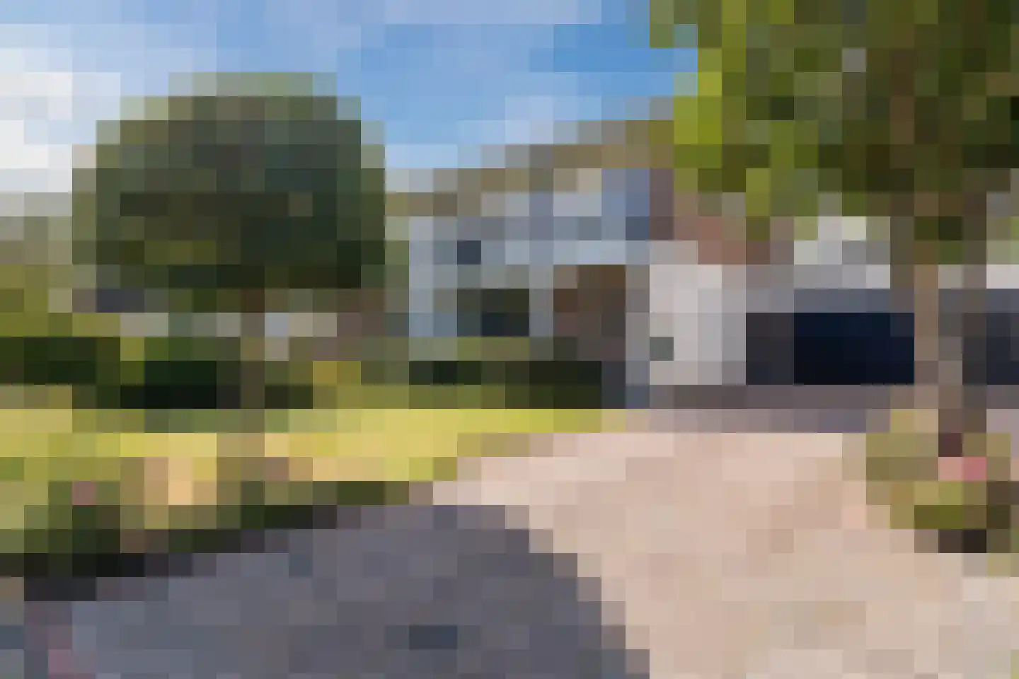 Plantsoenstraat 15 Sappemeer thumbnail 6