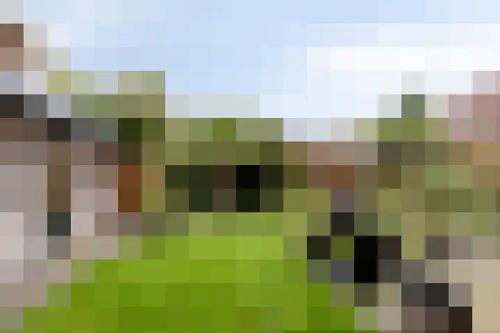 Plantsoenstraat 16 Zelhem thumbnail 24