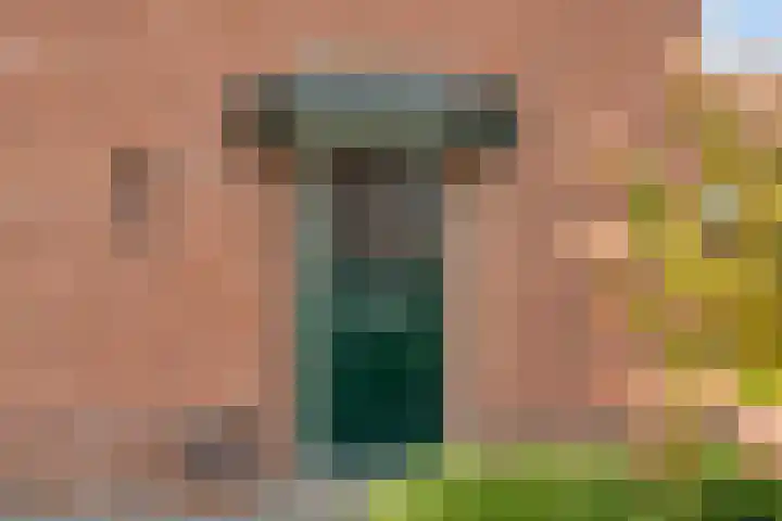 Plantsoenstraat 16 Zelhem thumbnail 6
