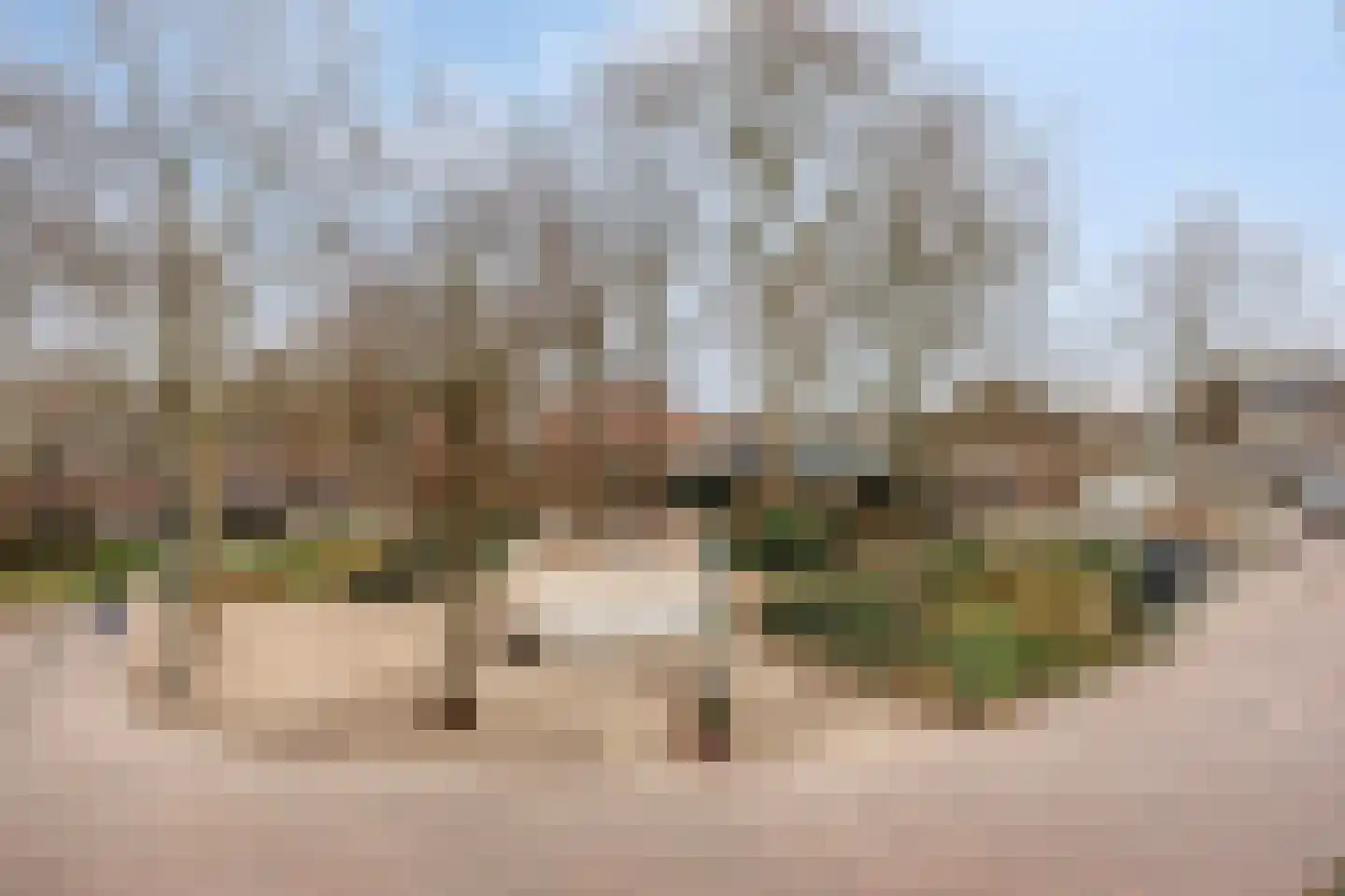 Plantsoenstraat 17 Rhenen thumbnail 17