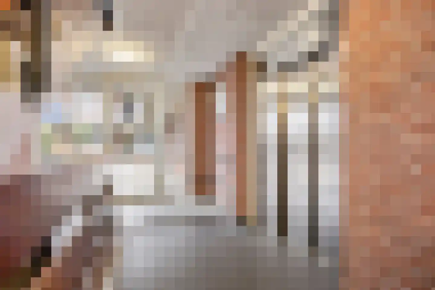 Plantsoenstraat 17 Rhenen thumbnail 34
