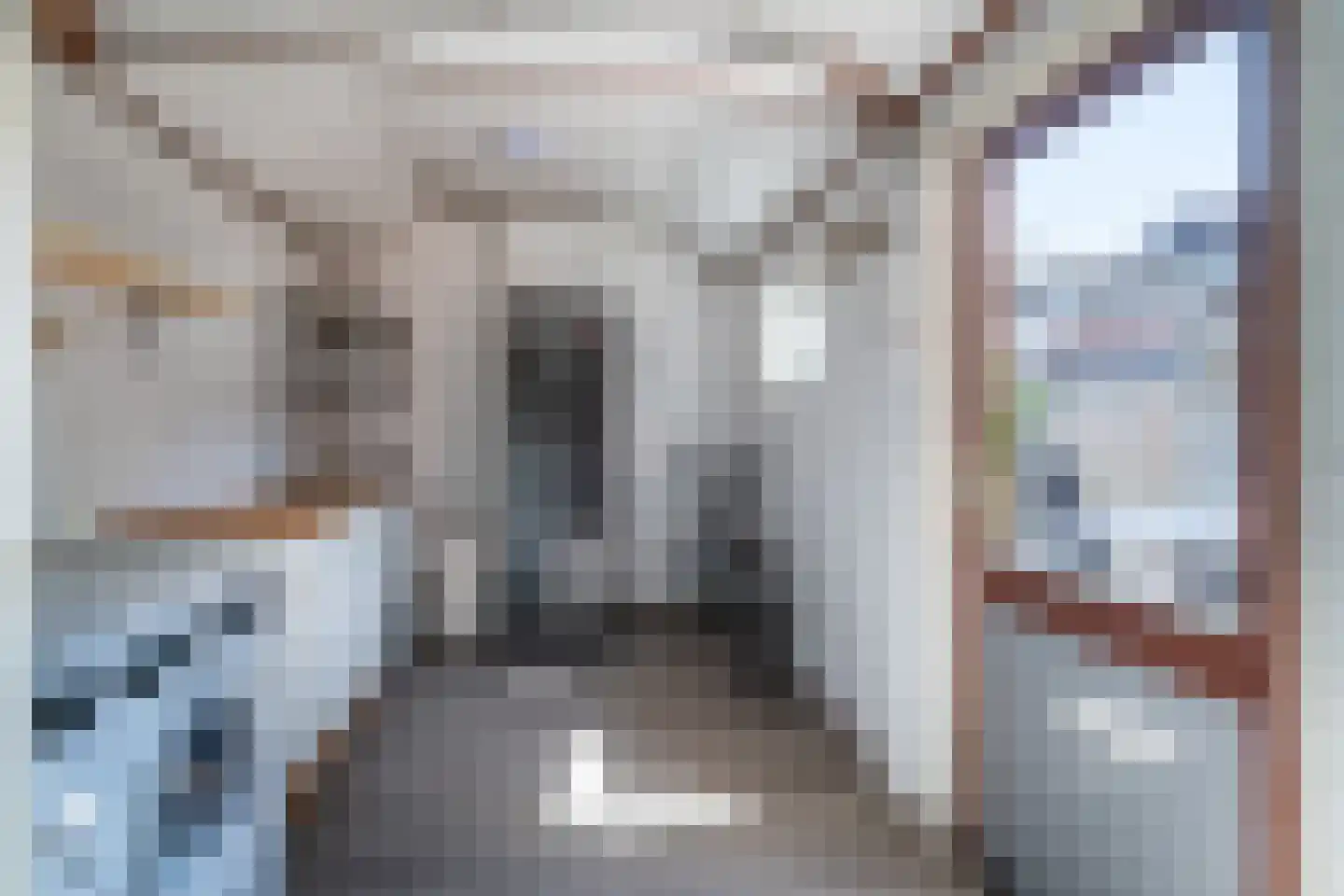 Plantsoenstraat 2 Linne thumbnail 10