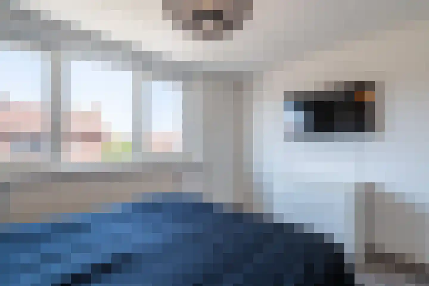 Plantsoenstraat 2 Linne thumbnail 14