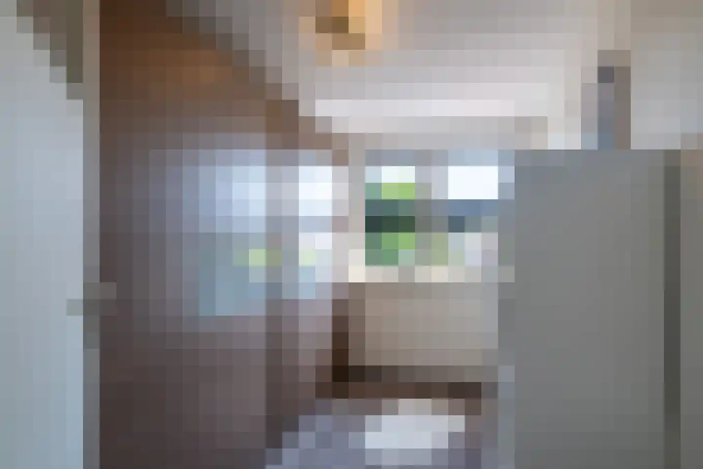 Plantsoenstraat 2 Linne thumbnail 15