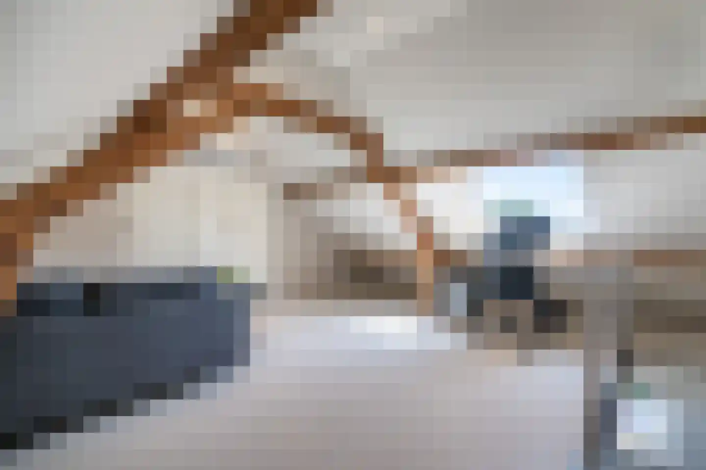 Plantsoenstraat 2 Linne thumbnail 20